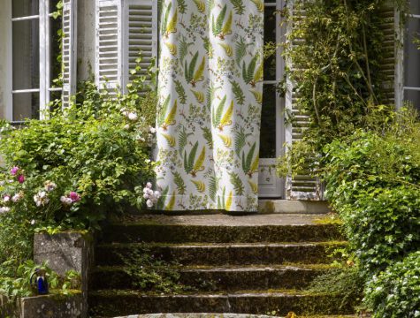 PF_2024_BELVEDERE_BOTANIQUE_F3886_V3